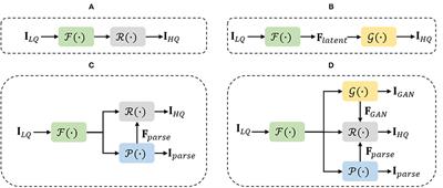 Blind Face Restoration via Multi-Prior Collaboration and Adaptive Feature Fusion